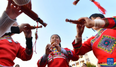 廣西柳州：傳統(tǒng)文化進(jìn)校園