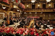 2024年維也納新年音樂會上演