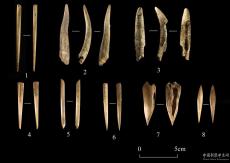 天津首次發(fā)現(xiàn)舊、新石器時代過渡遺存