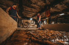 釀造酒傳統(tǒng)釀造技藝入選第六批省級非物質(zhì)文化遺產(chǎn)項目