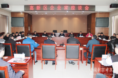 聽訴求 謀發(fā)展丨衡陽高新區(qū)舉行企業(yè)家座談會