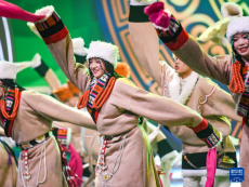 藏歷新年聯(lián)歡會(huì)上賞多彩民族文化