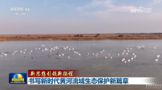 書寫新時(shí)代黃河流域生態(tài)保護(hù)新篇章