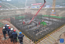 全球功率最高溶液型醫(yī)用同位素試驗堆開工建設(shè)