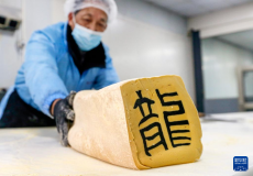 非遺里的年味兒：“字”里行間“話”年味兒