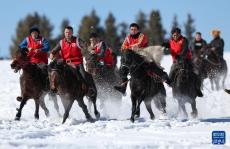 馬躍龍年鬧新春