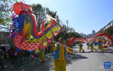 貴州黃平：龍騰苗鄉(xiāng)鬧新春