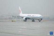 大熊貓“冰星”“花嘴巴”及其幼崽平安抵達成都