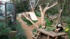 旅韓大熊貓“福寶”回國前最后一次與公眾見面