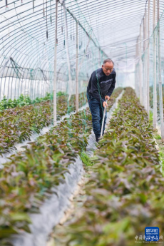 驚蟄時節(jié)農(nóng)事忙