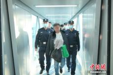 外逃11年！一名重要紅通犯罪嫌疑人被從印尼遣返回國(guó)