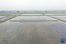 水上“春耕備耕”忙