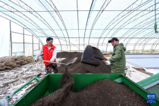 “大糧倉”黑龍江春耕備耕火熱進行