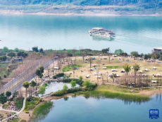 長江上游最大江心島成為“生態(tài)大課堂”