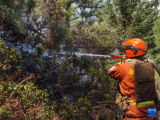四川省甘孜州康定市沙德鎮(zhèn)發(fā)生森林火災(zāi)