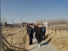 “帝森酒莊”杯抖音短視頻大賽頒獎儀式舉行