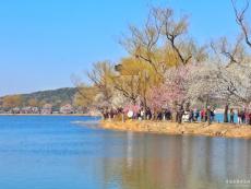 北京：春分好時光