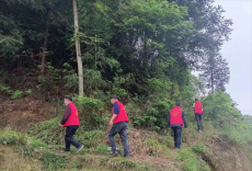 隆回縣金石橋鎮(zhèn)：巡山小分隊(duì)，扛起森林防火的重任