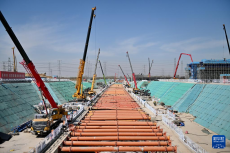 雄忻高鐵春日施工忙