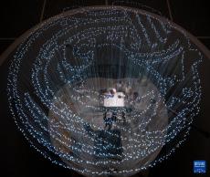 玉團鳳亮相武漢