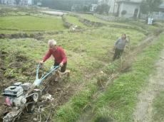 隆回縣金石橋鎮(zhèn)新花園村80老農(nóng)成為種田大戶