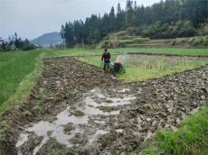 隆回縣金石橋鎮(zhèn)新花園村青年返鄉(xiāng)當(dāng)起了 “新農(nóng)人”