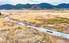 【大美中國】暢游濕地