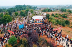 湖南茶陵舉辦首屆民間“杜鵑為媒 ‘王婆’相約”相親大會(huì)