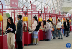 上海：逛國(guó)風(fēng)市集 展華服魅力