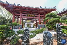 探訪成都世園會(huì)城市展園