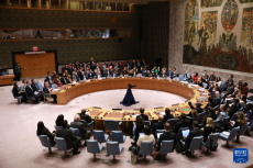 巴勒斯坦“入聯(lián)”決議草案在安理會(huì)遭美國(guó)一票否決