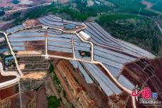 打造“生態(tài)修復+鄉(xiāng)村振興”模式 助推沂蒙山區(qū)水土治理