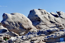 北京北拒馬河“驚現(xiàn)”巨石灘