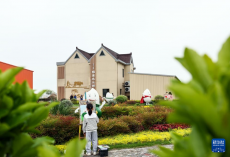 浙江嘉興：農(nóng)文旅融合鋪就和美鄉(xiāng)村致富路