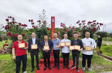 金甲蘿卜創(chuàng)新大賽揭曉?花膠煨金甲蘿卜榮獲特金獎