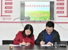 湖南隆回黃金井：栽培黑皮雞樅菌讓土地長出“黑黃金”