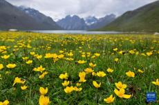 堅持以高水平保護支撐高質(zhì)量發(fā)展