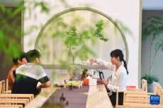 山間片片葉 萬(wàn)里茶飄香