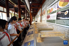 走進(jìn)糧倉(cāng)博物館 體驗(yàn)農(nóng)耕文明