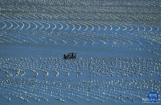 福建：耕海牧漁 建設“海上糧倉”