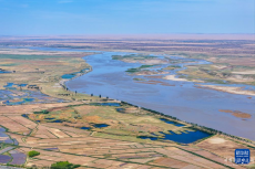 巴彥淖爾：黃河水潤萬頃田