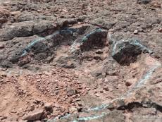 云南祿豐發(fā)現(xiàn)距今約1.2億年恐龍足跡化石群