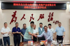 衡陽縣渣江鎮(zhèn)：統(tǒng)籌高質(zhì)量發(fā)展 奮力書寫新篇章