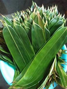 歡樂端午節(jié)——包粽子