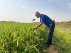 中非共繪非洲農業(yè)發(fā)展藍圖