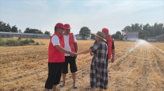 河南禹州：黨員干部奮戰(zhàn)抗旱一線