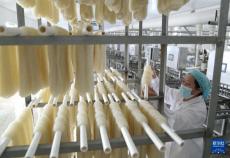 河北昌黎：農(nóng)產(chǎn)品深加工助力鄉(xiāng)村振興