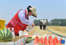 直擊多地高溫天氣 這些關(guān)懷沁人心