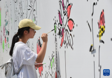 圓明園第二十九屆荷花節(jié)開幕