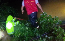 當(dāng)防汛遇上“七一”，岳陽縣張谷英鎮(zhèn)黨員這樣過